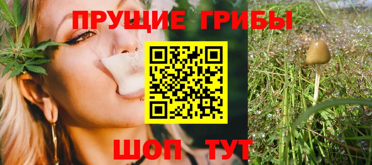 Псилоцибиновые грибы Magic Shrooms Вязьма