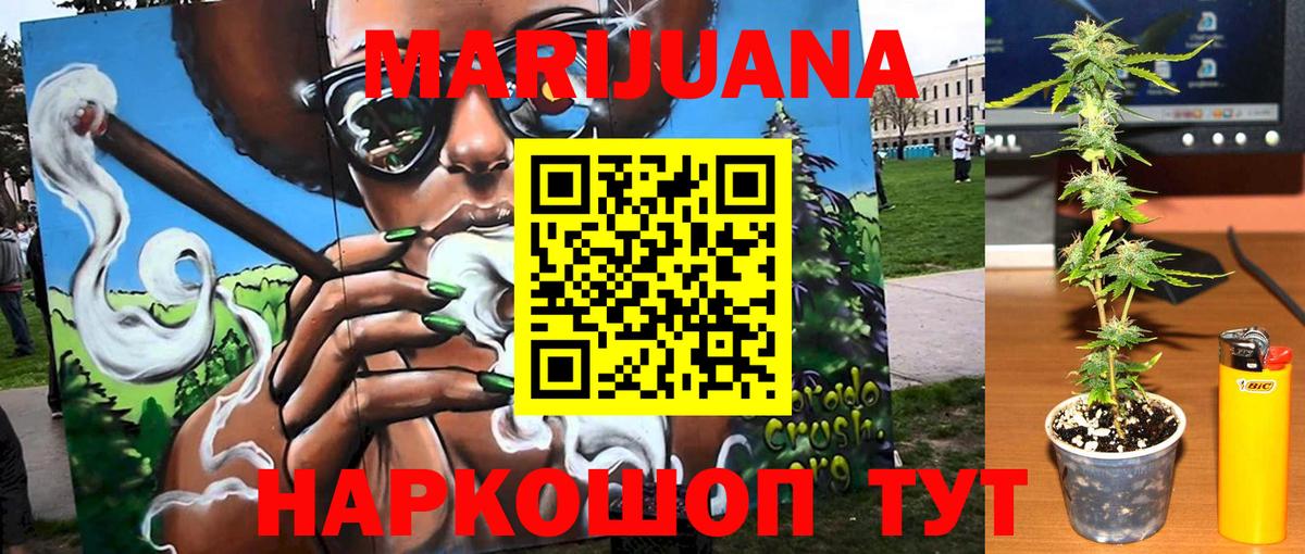 Бошки Шишки MAZAR Вязьма